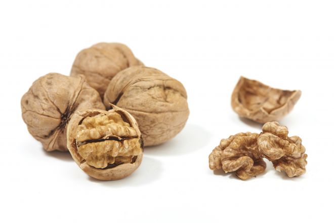 호두 자료 사진. 아이클릭아트