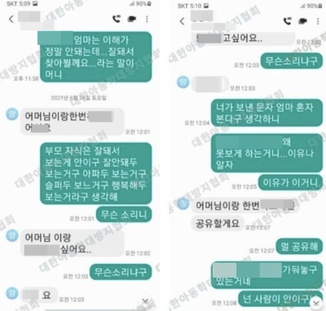 양모 씨가 장모에게 보낸 메시지. 대한아동방지협회