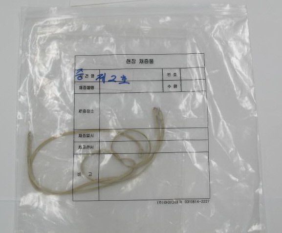 현장에서 발견된 결박도구 증거물인 전화선  강원지방경찰청 제공
