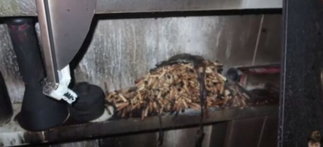 담배로 가득한 스트리머의 집안 내부. 부산소방재난본부