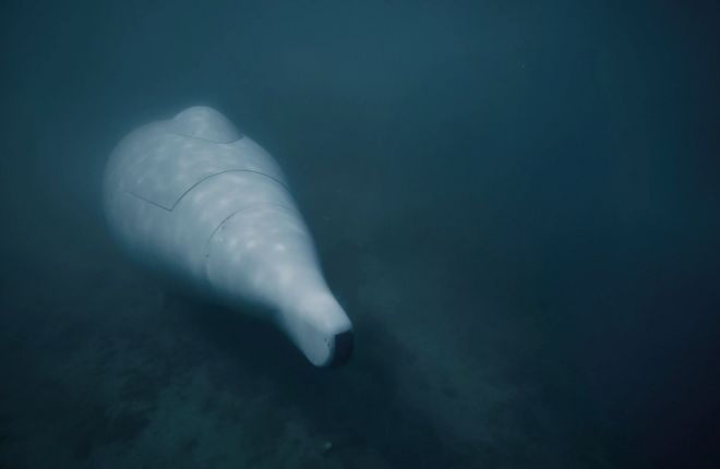 독일 유로아틀라스가 개발한 자율 수중드론 ‘그레이샤크’가 해저에서 임무 수행 중 정지 상태로 대기하고 있다. 이 드론은 인공지능(AI) 기반 자율운항 시스템을 통해 일정 신호나 시간에 맞춰 자동으로 작동할 수 있다. 유로아틀라스 제공