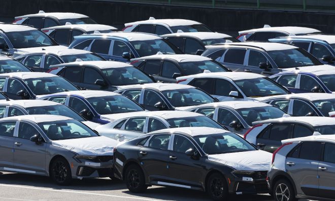 14일 경기도 평택항에 수출용 자동차가 세워져 있는 모습. 2025.11.14 연합뉴스