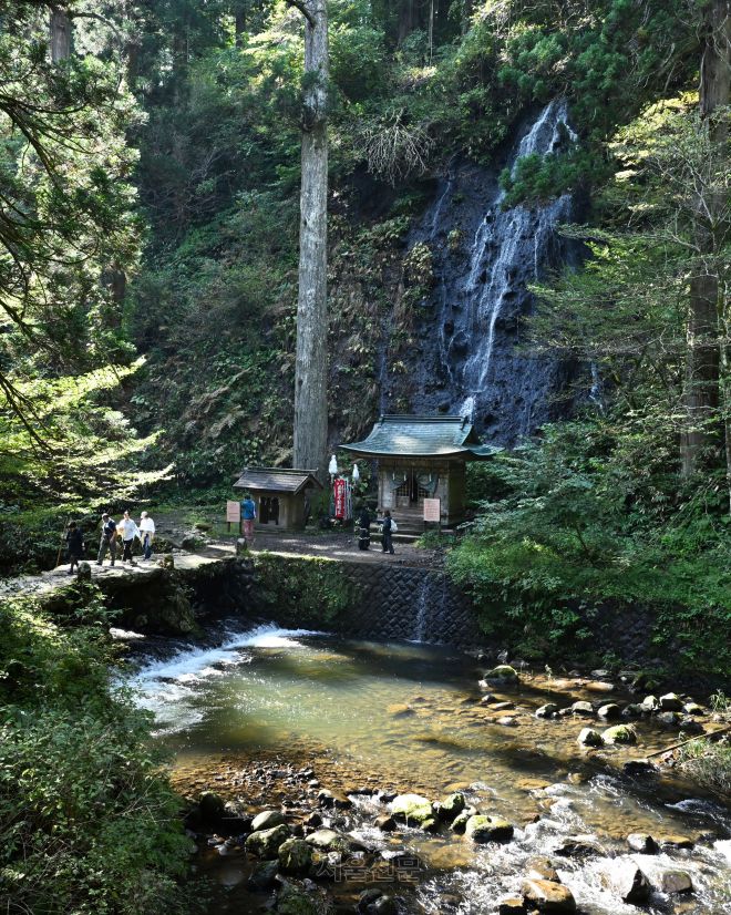하구로산 참배로 초입에 있는 스가 폭포와 신사.