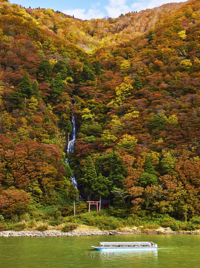 쓰루오카의 유명 관광 상품인 모가미강 단풍 뱃놀이. 뒤로 시라이토 폭포가 보인다.