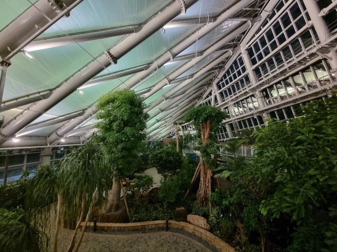 경북 포항시 북구 환호동 환호근린공원에 조성된 식물원 내부. 포항시 제공