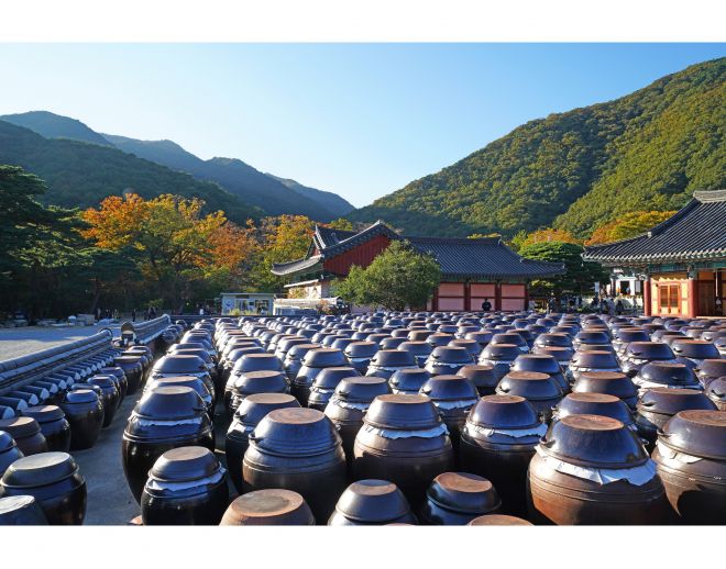 경북 포항시 보경사 전경. 경북도 제공