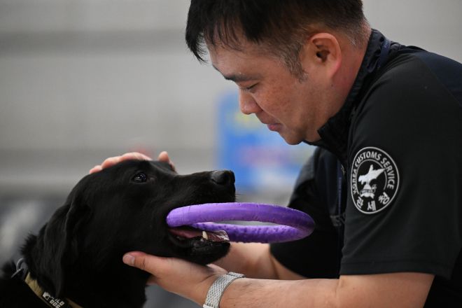 박 주무관은 “딜론이는 동료이자 친구 같은 존재”라고 설명했다.