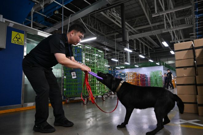 훈련 탐지에 성공한 딜론이 박 주무관과 보상 놀이를 하고 있다.