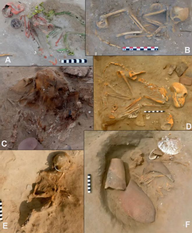 고대 로마 제국의 엘리트층이 인도산 수입 원숭이를 반려동물로 키웠을 가능성이 있다는 연구 결과가 나왔다. 사진=로마 고고학 저널(Journal of Roman Archaeology)