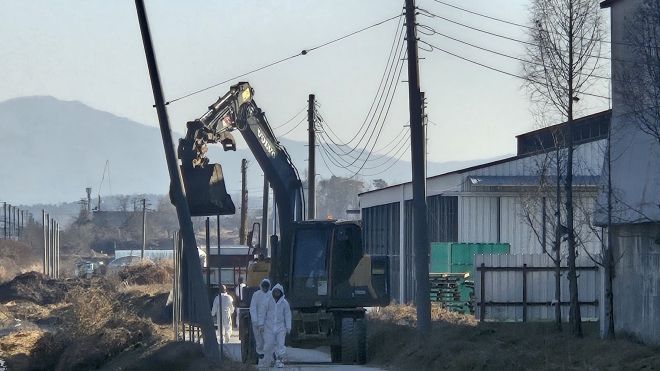 충남 천안시 성환읍 한 산란계 농장에서 고병원성 조류인플루엔자 의사축이 발견돼 살처분이 진행도고 있다. 이종익 기자