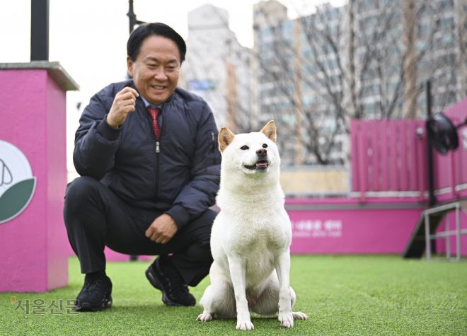 이성헌 서대문구청장이 지난 9일 홍은동 내품애센터 옥상에서 시바견 ‘설기’를 훈련하고 있다. 이지훈 기자