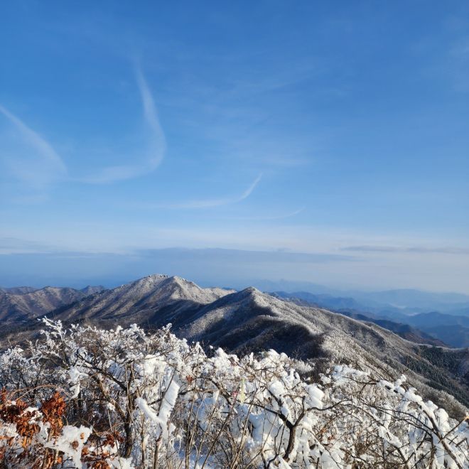 민주지산 능선길 풍경