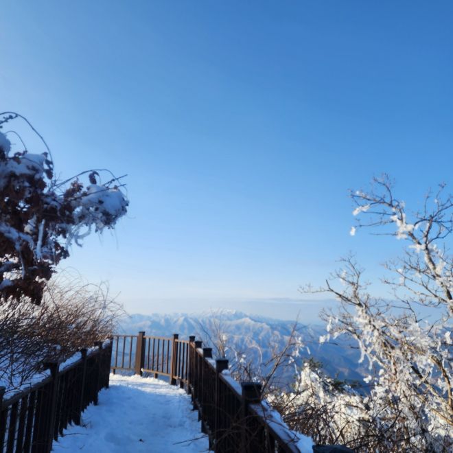 겨울철 민주지산 등산길 풍경