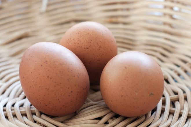 달걀 자료사진. 123rf.com