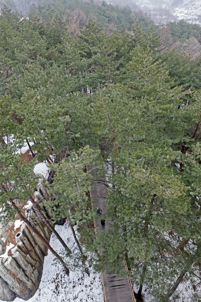 태백산 하늘전망대에서 내려다본 전망대 진입로와 동굴영상관의 모습. 초록뿔언덕 제공