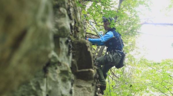 절벽 끝에 서식하는 석이버섯