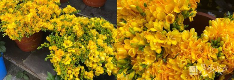 사진=문화뉴스DB