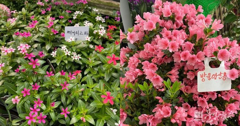 사진=문화뉴스DB