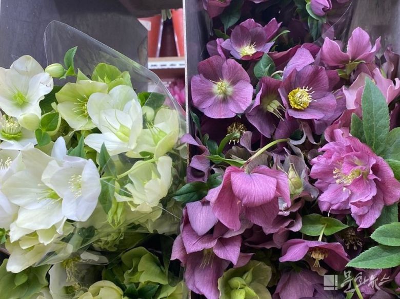 사진=문화뉴스DB