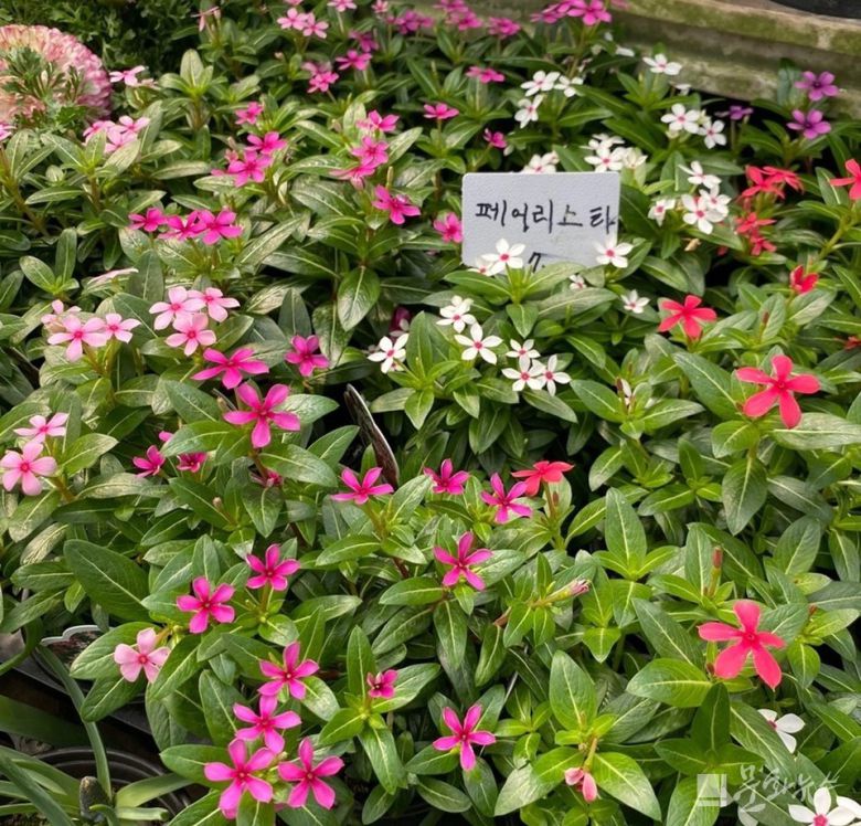 사진=문화뉴스DB