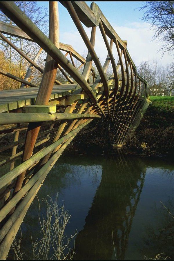 럭스모어 브릿지. 유사한 구조로는 새의 둥지가 있다./사진=아틀리에 원 홈페이지 ©Jamie McCullough