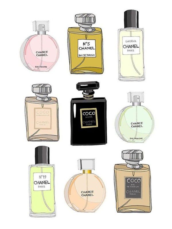 사진=향수 일러스트 그림/젤 스틸 공유