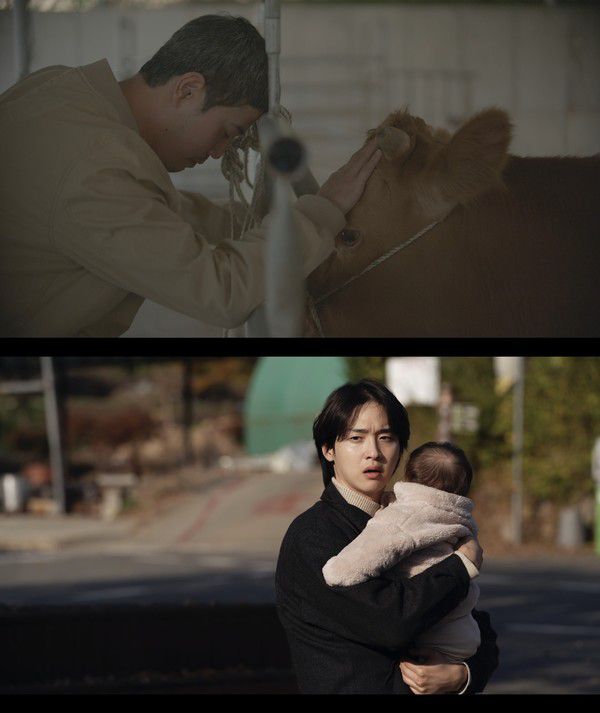 사진 = 위쪽부터 '도축', '내 귀가 되어줘' 메인스틸 / 서울독립영화제 제공