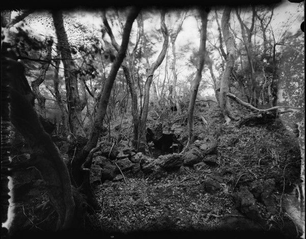 4.3, 안덕면, 제주도, 2019