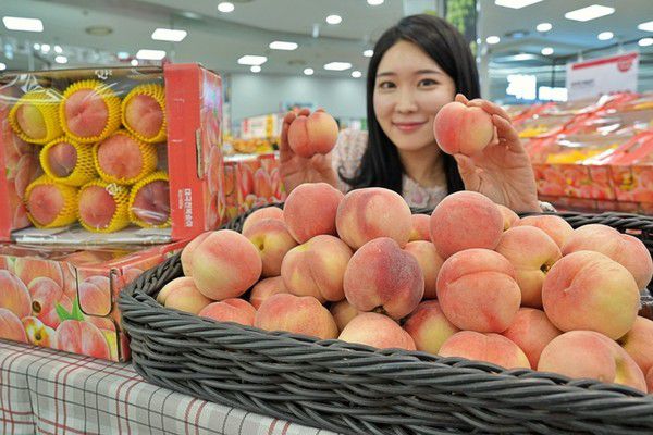 사진= [대형마트 휴무일] 롯데마트, 홈플러스, 이마트, 코스트코... 주요 할인 및 휴무일은? / 롯데마트 제공