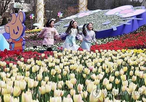 지난해 에버랜드 튤립축제 모습 / 사진=연합뉴스