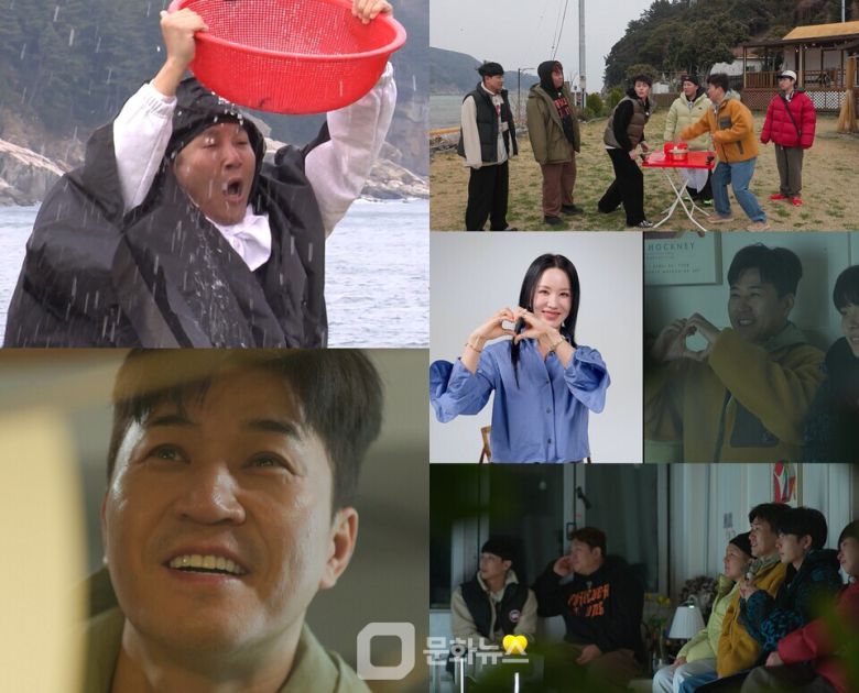 문화뉴스