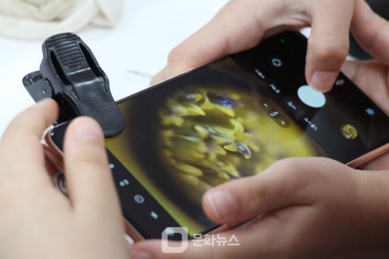 서울문화재단이 운영하는 서남권 문화예술교육 거점 ‘서울문화예술교육센터 양천’이 오는 5월 7일부터 7월 26일까지 상설 전시 ‘먼지정원’을 개최한다. / 사진제공=서울문화재단