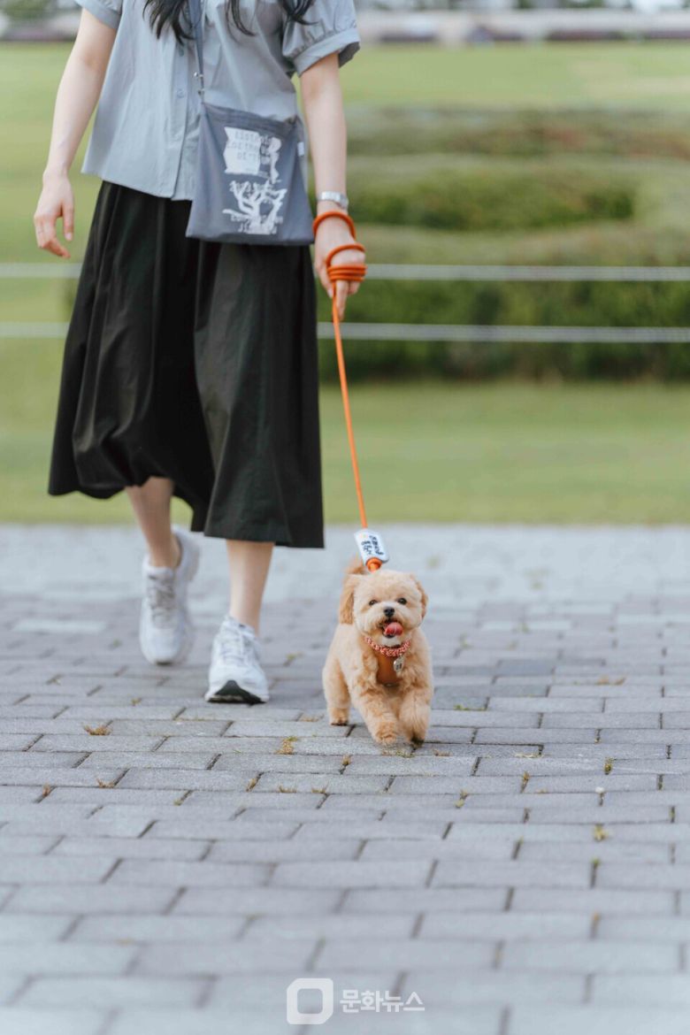 반려동물 동반 문화 나들이 / 사진제공=국립아시아문화전당