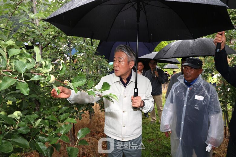 농협중앙회 강호동 회장은 6월 16일 경북 청송, 김천의 우박 피해 농가를 찾아 피해상황을 점검하고 있다. / 사진제공=농협중앙회