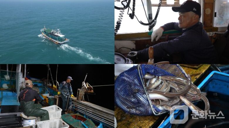 EBS '극한직업', 거제도 '1박 3식 민박과 장어잡이' 편/사진제공=EBS