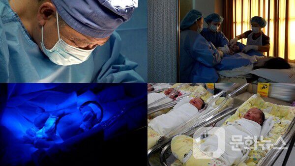 극한직업, '동해안 오징어잡이와 분만실 24시' 편 방송/사진제공=EBS