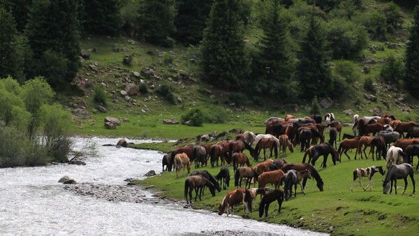 '영상앨범 산' 키르기스스탄 알라아르차에서 만난 비경...알프스 부럽지 않은 빙하호 / 사진=KBS