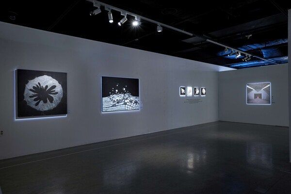 예술의전당 '감각의 서사' 전시장 모습. /더쎈뉴스