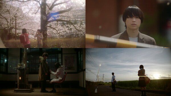 ‘초속 5센티미터’ 한국 관객 인사 영상 공개 / 사진=롯데엔터테인먼트