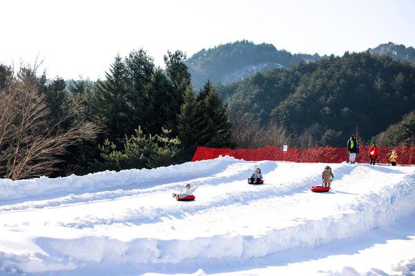 ‘도심과 자연에서 눈썰매 만끽’…켄싱턴호텔앤리조트, 가족 겨울 패키지 확대 / 사진=이랜드파크