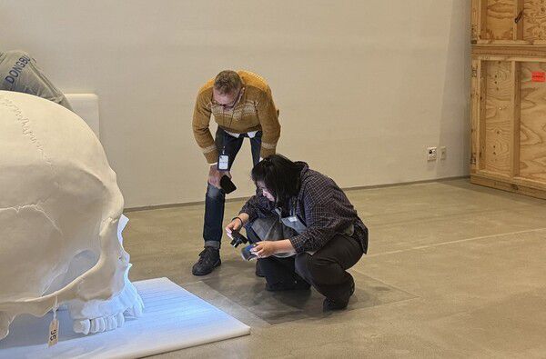 ‘청년 보존 전문가 직접 육성’…국립현대미술관, MMCA 보존학교 첫 출범 / 사진=국립현대미술관