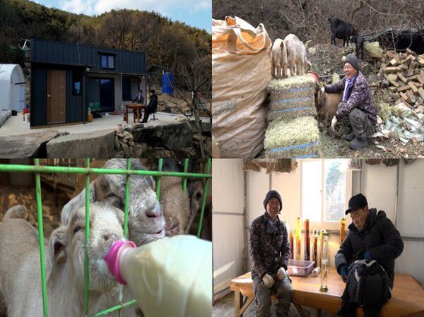 [나는 자연인이다] 약식혜, 항아리 바비큐...'꿈꾸는 목장 자연인 이명규' 사연은? / 사진=MBN '나는 자연인이다'