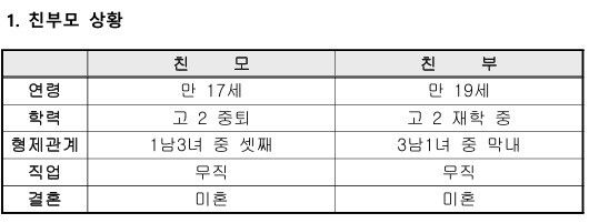 김서희씨 ‘입양아동 배경보고서’ 갈무리.