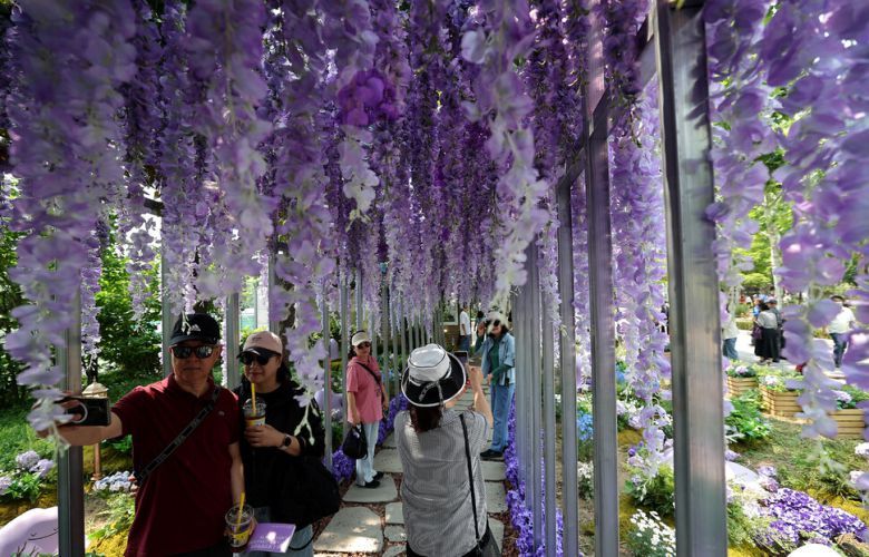 ‘메타몽 가든’ 등나무 길에서 관람객이 조화로 만든 꽃을 배경으로 ‘인생사진’을 남기고 있다. 132마리의 포켓몬스터 메타몽이 전시된 정원은 6월22일까지 운영된다.