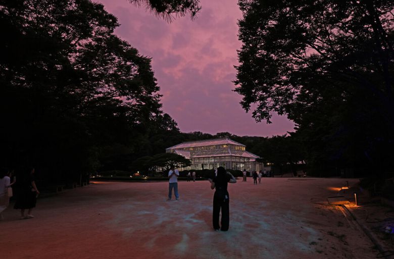 물빛연화의 제4경 조화의 빛 (대온실) 모습. 창경궁 대온실은 서양식 건축 양식으로 설계된 한국 최초의 온실로 1909년 지어졌다. 일제가 순종을 창덕궁에 유폐시킨 뒤, 왕을 위로한다는 명목으로 동물원과 함께 건립했다. 2004년에 복원되어 원래 모습을 그대로 유지한 채 일반 시민에게 개방됐다. 이곳은 근대 건축의 선진성과 더불어 제국주의 문화침탈의 비극을 동시에 보여주는 역사적 시설이다.