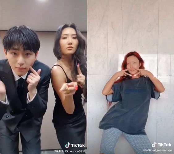 지코와 화사가 함께한 '아무노래 챌린지'(왼쪽) 영상과 화사가 자신의 최신곡 '마리아'에 맞춰 춤을 춘 '마리아 챌린지' 영상(오른쪽) /사진=지코·화사 틱톡 캡처