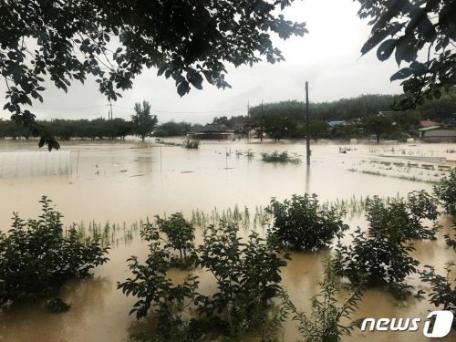 (구례=뉴스1) 서순규 기자 = 8일 구례군에 따르면 7일부터 폭우가 쏟아지면서 구례지역 평균 강수량이 322.4mm를 기록했다. 이번 폭우로 구례5일시장 일대와 문척면 섬진강변, 마산면 냉천삼거리가 침수되고, 서시천이 범람하면서 섬진강변 곳곳이 침수돼 인근 주민들에게 실내체육관으로 대피령이 내렸다. 2020.8.8/뉴스1