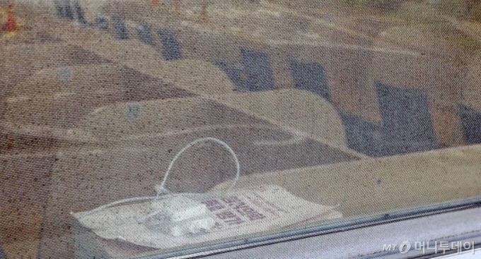 [서울=뉴시스] 최진석 기자 = 대한의과대학·의학전문대학원학생협회(의대협)가 동맹 휴학을 이어가기로한 11일 서울 서대문구 연세대학교 의과대학 건물 창가에 의사국가고시 관련 서적이 놓여져 있다. 이날 의대협 회의에서 국가고시 거부를 지속할지 여부는 정해지지 않았다. 2020.09.11.  myjs@newsis.com