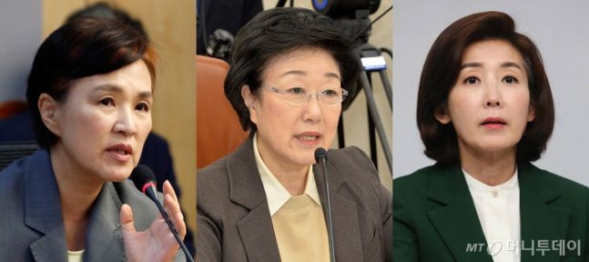(왼쪽부터) 강금실 전 법무장관, 한명숙 전 총리, 나경원 전 의원./사진=머니투데이DB