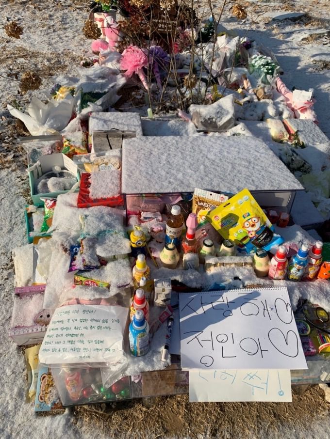 5일 오전 9시 30분쯤 경기도 양평 하이패밀리 안데르센 공원묘원에 위치한 故정인양의 묘./사진=이강준 기자